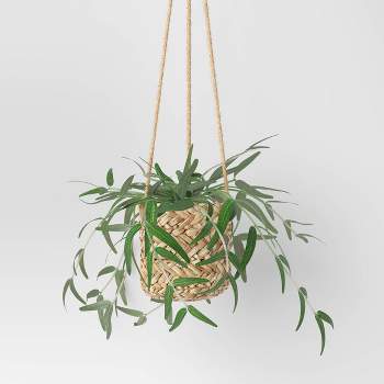 Faux Salix Leaf in Woven Pot Wall Sculpture Green - Threshold™
