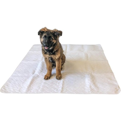 Washable Dog Pee Pads - Reusable Pet Training Pads Extra Large XL