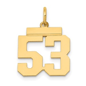 Black Bow Jewelry 14k Yellow Gold, Athletic Collection, Small Polished Number 53 Pendant - 1 of 4