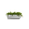 Ecopots Manhattan Wall Durable Modern Rectangular Indoor/Outdoor Recycled-Based Composite Hanging Flower Planter - 4 of 4