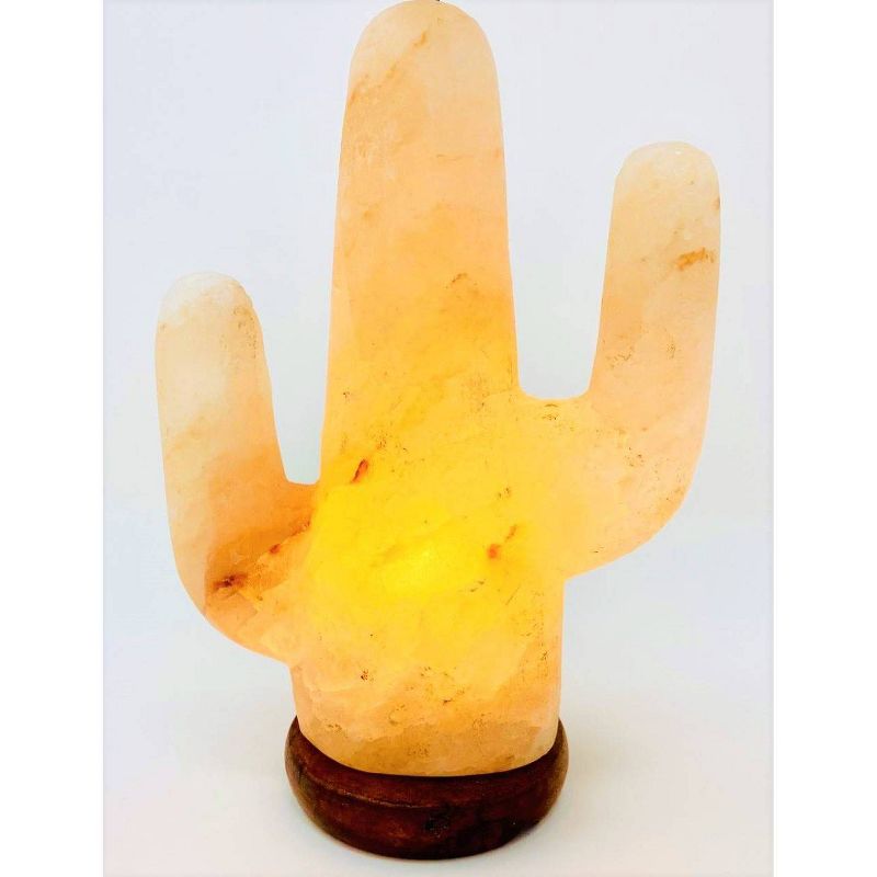 Cactus Himalayan Salt Lamp Pink - Q&#38;A Supply, 1 of 5