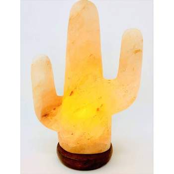 Cactus Himalayan Salt Lamp Pink - Q&A Supply