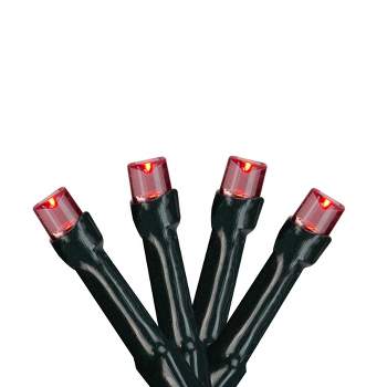 Northlight Battery Operated LED Christmas Lights - Red - 9.5' Black Wire - 20ct