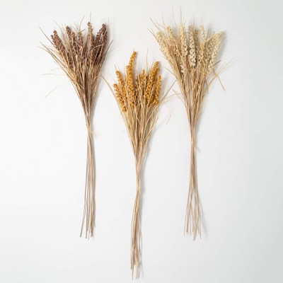 41"H Sullivans Dried Wheat Bush - Set of 3, Multicolored
