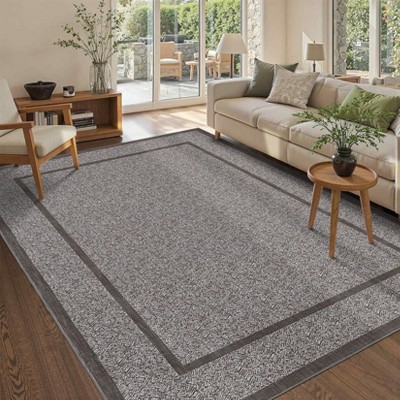 Rugs for Living Room Border Area Rug Non Slip Durable Floor Washable Carpet for High Traffic Areas Indoor Rug for Kitchen Kids Playroom
