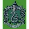 Boy's Harry Potter Hogwarts Slytherin T-Shirt - image 2 of 4