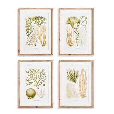 Plum & Post 19.75"W x 1"D x 26.75"H Verdant Coral Study Framed Wall Art Set of 4