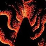 clear push pins bundle