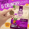 Earthborn Holistic EarthBites Lamb & Pumpkin Grain-Free Crunchy Dog Treats - 10 oz - 3 of 4