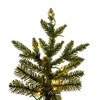 Vickerman Natural Fraser Fir Slim Artificial Christmas Tree - 2 of 4