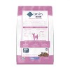Blue Buffalo Basics Limited Ingredient Diet Turkey & Potato Recipe Small Breed Dry Dog Food - 2 of 2