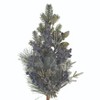 Frosted Blueberry Pine Spray (Set of 2) - 3 of 3