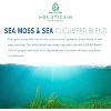 Holistic Bin Purple Sea Moss & Sea Cucumber Supplement — Wildcrafted Raw Sea Moss Capsules | 500mg Sea Vegetables Per Serving - 2 of 4
