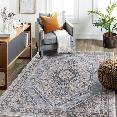5'x7' Blue/Cream Bordered Area Rug ¨C Non-Shedding, Stain-Resistant Indoor Rug for Living Room, Bedroom & Office - Nertpow