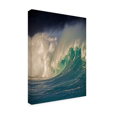 Alan Klu 'Waimea, Oahu' Blue and White Outdoor Canvas Print
