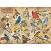 Cobble Hill: Popular Backyard Wild Birds of North America 1000 Piece Puzzle - 2 of 4
