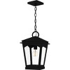 Huck 1-Light Earth Black Outdoor Hanging Lantern - 4 of 4