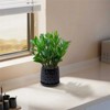 KWPZQEB Plant Pots Set of 2, Ceramic Planters with Drainage Holes, Nursery Planting Pot for Indoor Out Door Plants - 2 of 4