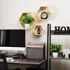 Mind Reader Hexagon Floating Shelves Set of 3 Honeycomb Organizer - 2 of 4