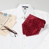 Allegra K Men's Polka Dots Adjustable Self-Tied Cravat Tie One Size - 4 of 4