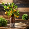 Lemon Fruit Foliage Branch (Set of 6) - 3 of 3