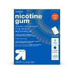 Nicotine 4mg Gum Stop Smoking Aid - Mint Freeze - up & up™