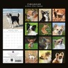 2026 Square Wall Calendar, Chihuahuas, 16-Month Paw Prints Theme with 180 Reminder Stickers (12x12 In) - 4 of 4