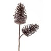 Melrose Pine Cone Spray (Set of 6) - 2 of 3