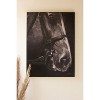 Black and White Horse Portrait Canvas – 48.5" Tall – by Kalalou - 2 of 4