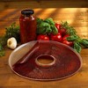 Nesco SLD-2-6 Large Food Dehydrator Fruit Roll Sheets, For 80 And 1000 Series Dehydrators, 15.5 Inch Diameter Trays, Set of 2 - 2 of 4