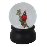 Northlight 5.75" Red Cardinal on Branch Musical Christmas Snow Globe