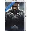 Trends International Marvel Cinematic Universe Black Panther - One Sheet Unframed Wall Poster Prints - 3 of 4
