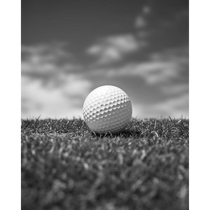 Poster Master Golf Ball on a Field No1 - 1 of 2