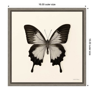 Amanti Art Butterfly III BnW by Debra Van Swearingen Canvas Wall Art Print Framed 16-in. x 16-in.