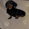 E & S Pet 14.0 Inch Black Daschund Happy Tails Sock Premium Quality Crew Socks - 2 of 3