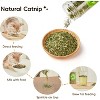 Potaroma Natural Catnip Silvervine Gall Fruit Cat Toys Set with Plush Shell - 3 of 3