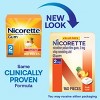 Nicorette 2mg Gum Stop Smoking Aid - Fruit Chill - 3 of 4