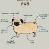 Men's Design By Humans Anatomy of a Pug By SophieCorrigan T-Shirt - 2 of 3