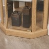 Lyngins American Design Glass Display Cabinet with 2 Side-Hung Doors, Lighted Corner Curio Cabinet with Adjustable Shelves, Accent Storage Cabinet - 3 of 4