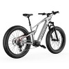 Vanpowers Adult GrandTeton Ultra 2.29' Step-Over 500W Mid Drive Electric Bike - 3 of 4