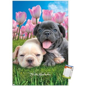 Trends International Keith Kimberlin - Bulldog Puppies Unframed Wall Poster Prints - 1 of 4