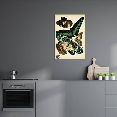 Papillons Butterflies Multicolor Canvas Wall Art 18x12