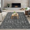 Coucheta Washable Area Rugs Stain Resistant Indoor Carpet Non Shedding Non Slip Low Pile Floor Cover for Office Nursery Playroom,Multi-Color & Size - 2 of 4