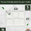 5 Compartment Square Biodegradable Divided Plates - Pack of 125 - Rani Brand Authentic Indian Products - 2 of 4