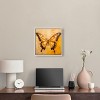 Art Remedy Golden Ochre Butterfly Elegant Butterfly Wall Art Framed - 2 of 4