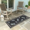 Liora Manne Frontporch Garden Indoor/Outdoor Rug.. - 3 of 4