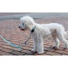 Country Brook Petz Deluxe Nylon Dog Leash, 6 Foot - 4 of 4