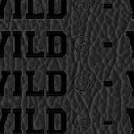 minnesota wild