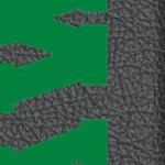 seattle seahawks
