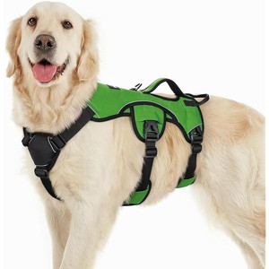 rabbitgoo Escape Proof Dog Harness, Soft Padded Full Body Pet Harness, with Lift Handle and Lesh Clip for Large Dogs Walking Hiking Training, L, Green - 1 of 1